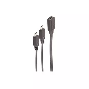 USB кабель ShiverPeaks BS13-20021 0.3м USB C 2 x Micro-USB B Черный