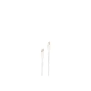 USB кабель ShiverPeaks BS14-12051 USB 2.0 1м USB C Белый