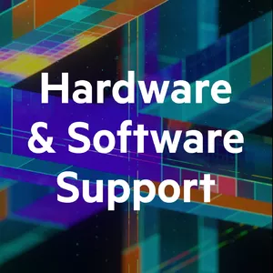 Расширение гарантии/поддержки HPE H31LDE 8x5 Часы