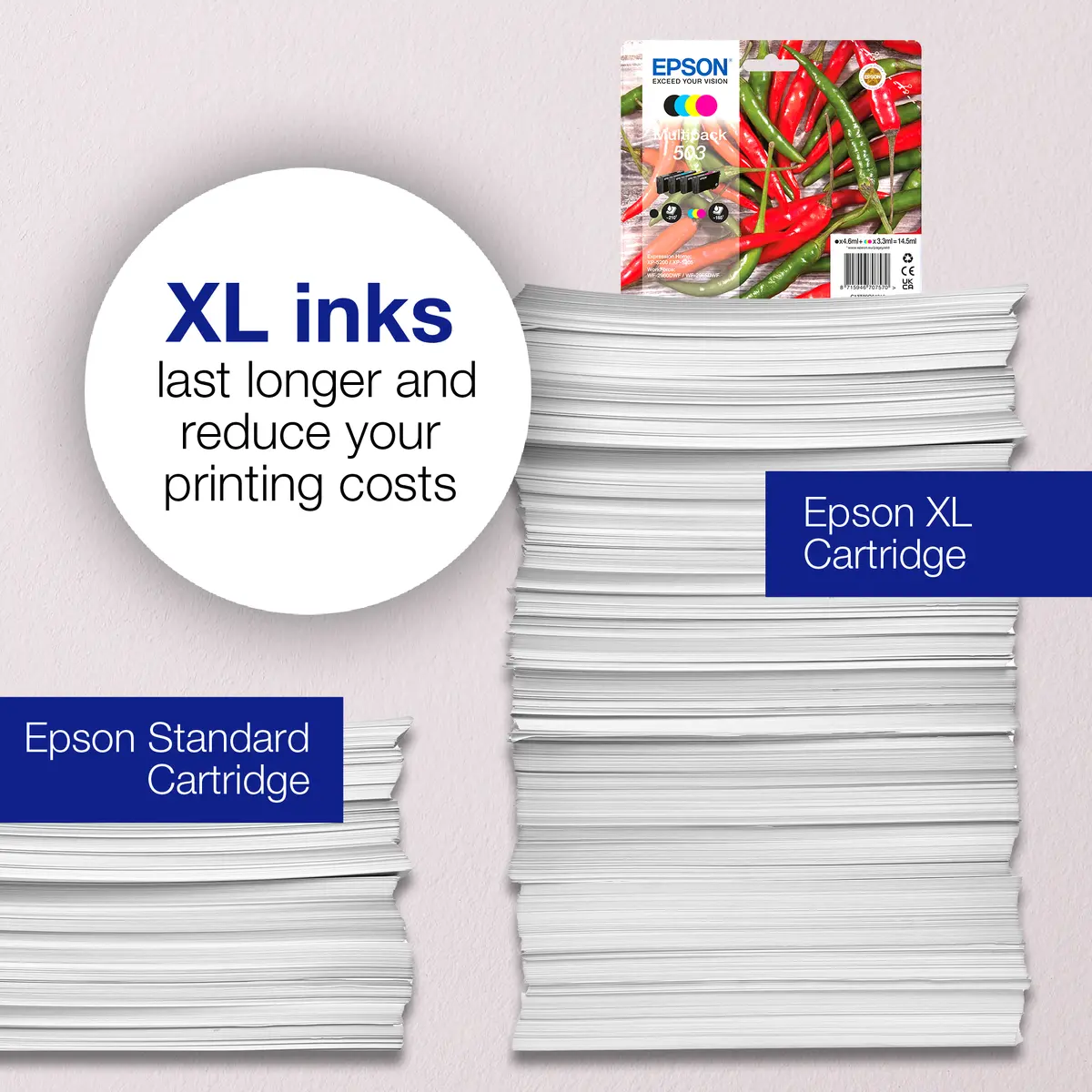 Набор картриджей Epson 503 Multipack Photo 14