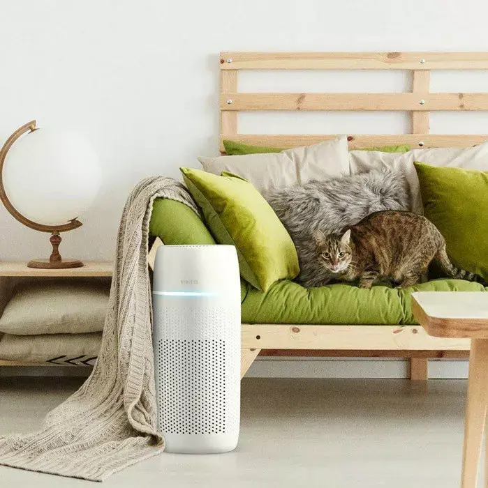 Air Purifier HoMedics AP-PET35WT-EU Photo 4