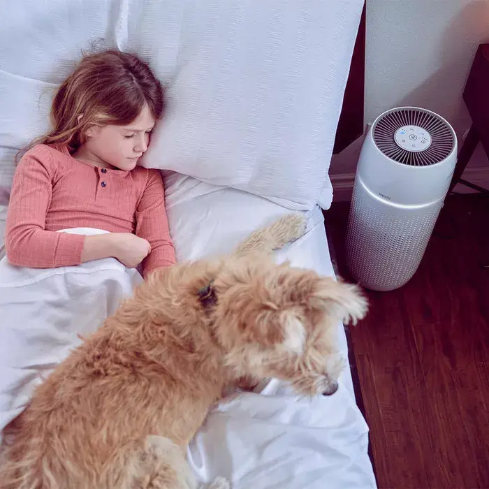 Air Purifier HoMedics AP-PET35WT-EU Photo 5