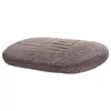 Pet transport and sleeping box Curver 227525 Photo 10