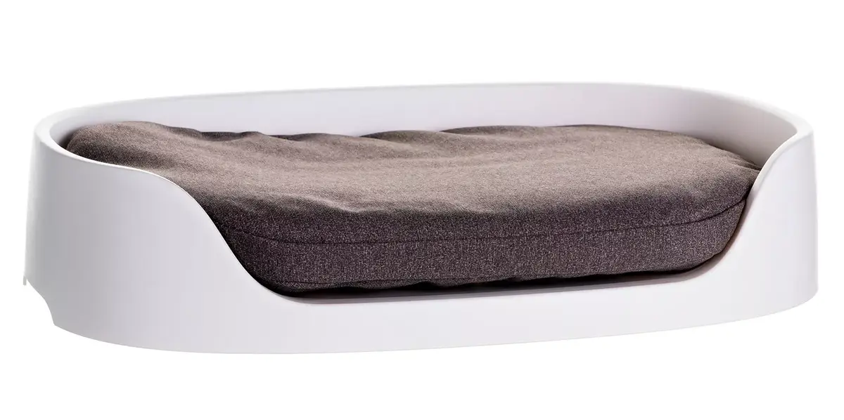 Pet transport and sleeping box Curver 227525 Photo 12