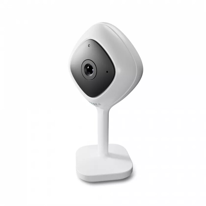 IP Cameras