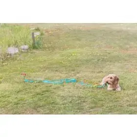Trixie 2259 leash accessory, 40 mm Photo 3