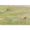 Trixie 2259 leash accessory, 40 mm Photo 3
