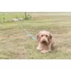 Trixie 2259 leash accessory, 40 mm Photo 4