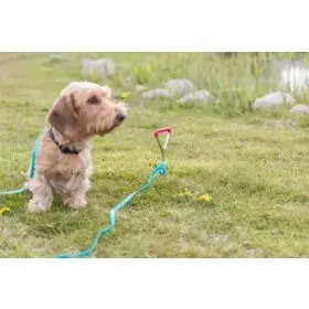 Trixie 2259 leash accessory, 40 mm Photo 5