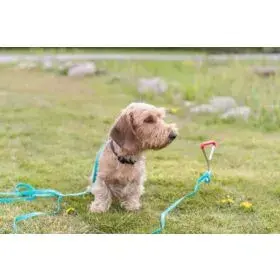 Trixie 2259 leash accessory, 40 mm Photo 6
