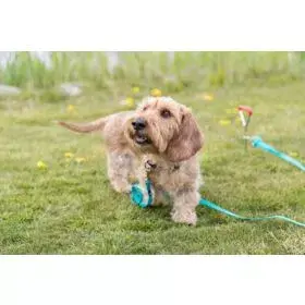 Trixie 2259 leash accessory, 40 mm Photo 7