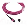 InfiniBand fibre optic cable BlueOptics CBL-MPO12-4LC-OM4-1M-BO Photo 5