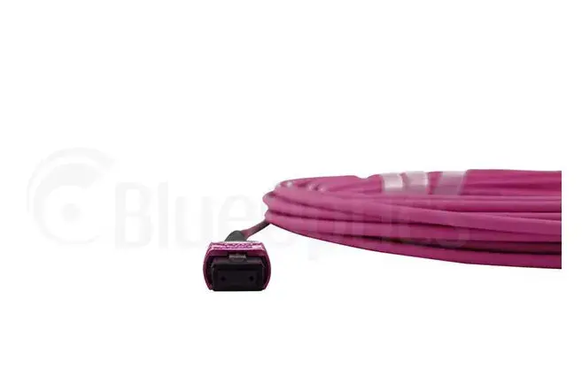 Fibre Optic Cable BlueOptics CBL-MPO12-4LC-OM4-2M Photo 6