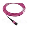 Оптоволоконный кабель InfiniBand BlueOptics CBL-MPO12-4LC-OM4-5M-BO Photo 4