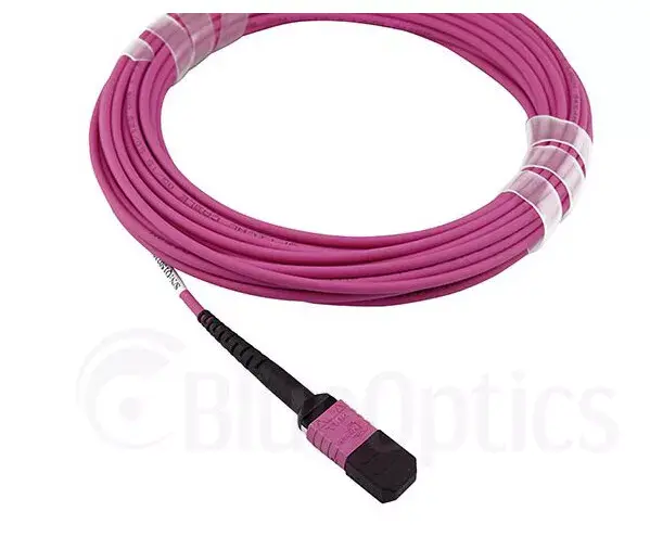 InfiniBand fibre optic cable BlueOptics CBL-MPO12-4LC-OM4-7M Photo 4