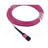 InfiniBand fibre optic cable BlueOptics CBL-MPO12-4LC-OM4-7M Photo 4