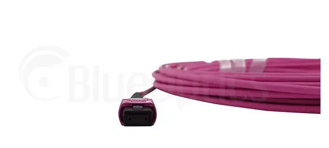 InfiniBand fibre optic cable BlueOptics CBL-MPO12-4LC-OM4-7M Photo 6