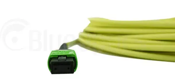 MPO-4xLC одномодный патч-кабель BlueOptics CBL-MPO12-4LC-SMF-2M Photo 5