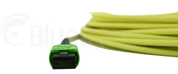 InfiniBand fibre optic cable BlueOptics CBL-MPO12-4LC-SMF-7M-BO Photo 5