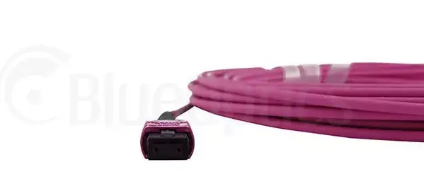 оптоволоконный кабель BlueOptics CBL-MPO12-OM4-15M Photo 4