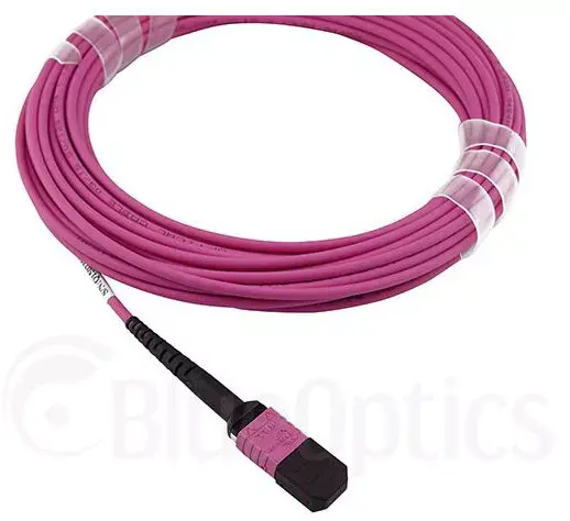 Fibre optic cable MPO BlueOptics CBL-MPO12-OM4-1M Photo 2