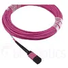 Fibre optic cable MPO BlueOptics CBL-MPO12-OM4-1M Photo 2