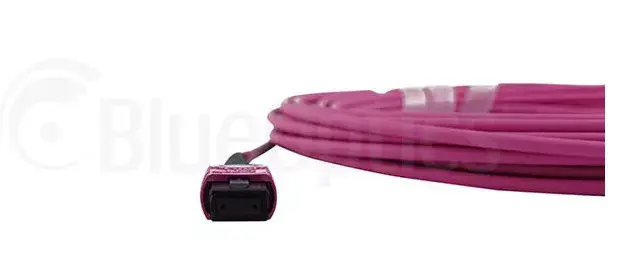 Fibre optic cable MPO BlueOptics CBL-MPO12-OM4-1M Photo 4