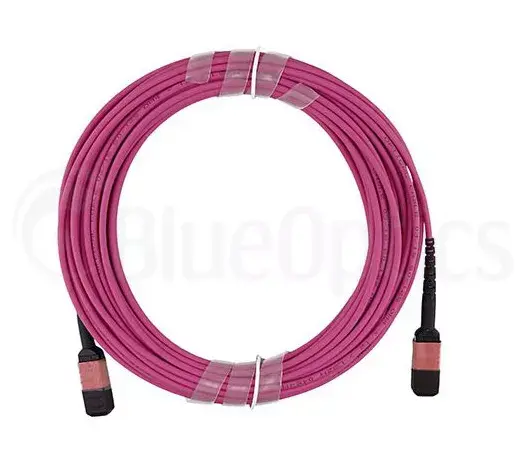 Fibre optic cable MPO BlueOptics CBL-MPO12-OM4-1M Photo 5