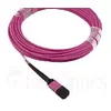 Оптоволоконный кабель MPO BlueOptics CBL-MPO12-OM4-20M-BO Photo 2