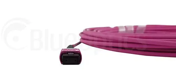 MPO Оптоволоконный кабель BlueOptics CBL-MPO12-OM4-3M-BO Photo 4