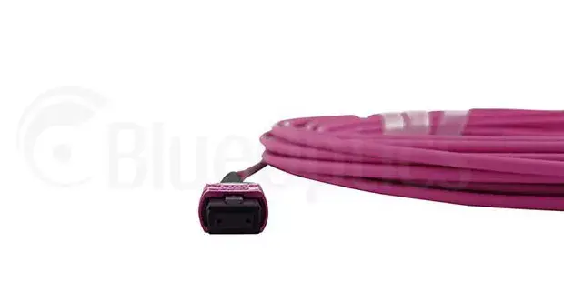 Оптоволоконный кабель MPO BlueOptics CBL-MPO12-OM4-5M-BO Photo 4