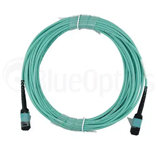 InfiniBand оптоволоконный кабель BlueOptics AT-MTP12-1-BO Photo 5