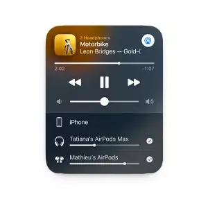 Audio Sharing.