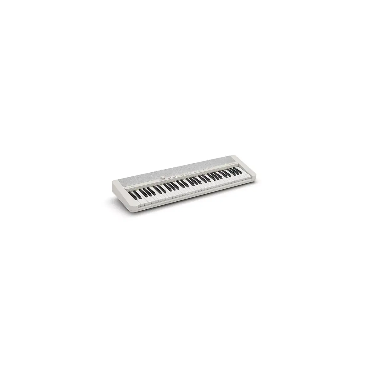 Digital synthesizer Casio CT-S1 Photo 3