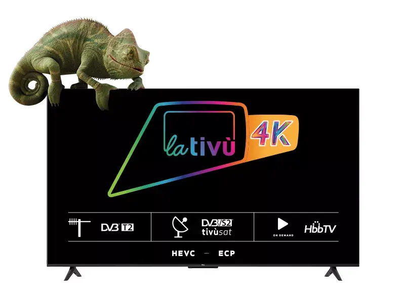 TCL P63 Series 50P635 50" 4K Smart TV Photo 7