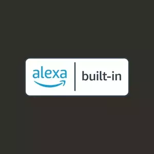 Ask your voice assistant