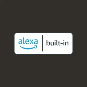 Ask your voice assistant