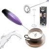 Handheld electric milk frother Adler AD 4499 Photo 10