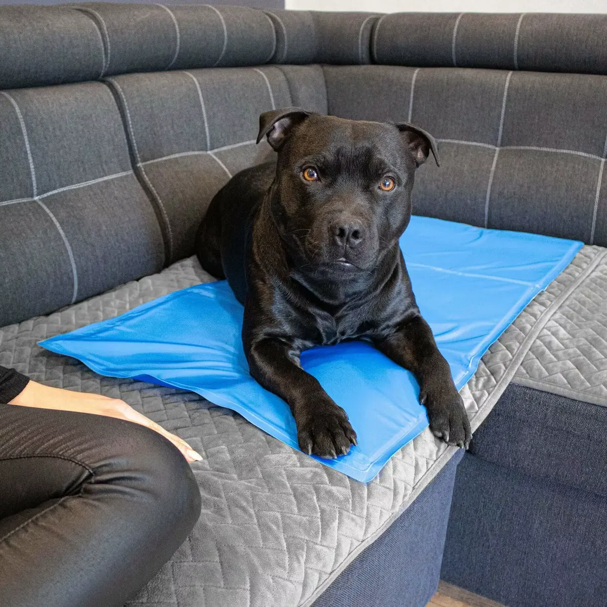 Cooling mat Springos PA2005 for pets Photo 3