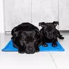 Cooling mat Springos PA2005 for pets Photo 6