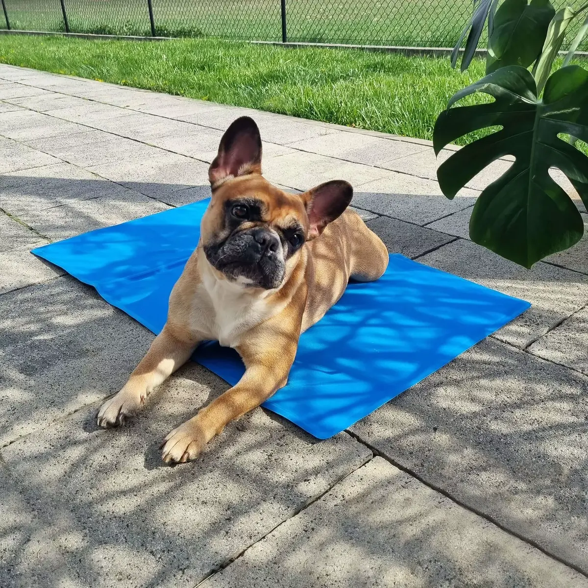 Cooling mat Springos PA2005 for pets Photo 9