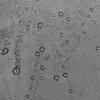Pārnēsājamais tūrisma krēsls Springos CS0002 Photo 5
