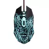 Мышь Trust GXT 105X Izza Photo 3