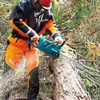 Zāģis Makita UC015GT101 Photo 18