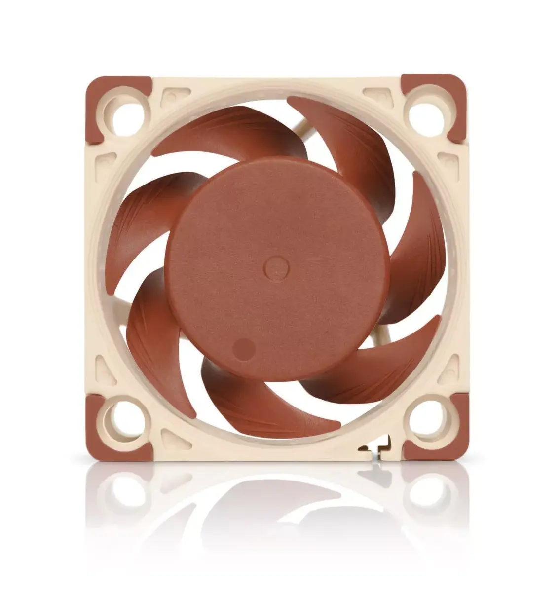 Noctua NF-A4x20 PWM 40 mm ventilators Photo 2