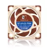 Noctua NF-A4x20 PWM 40 mm ventilators Photo 3