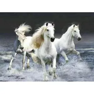 Diamond mosaic kit Norimpex — White horses in the sea, decorative mosaic craft set NO-1005262