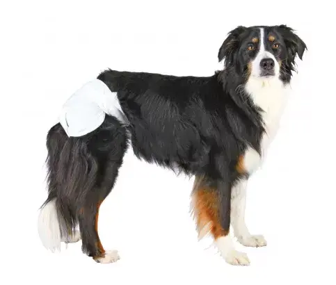 Dog TRIXIE 23631 Photo 2