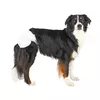Dog TRIXIE 23631 Photo 2