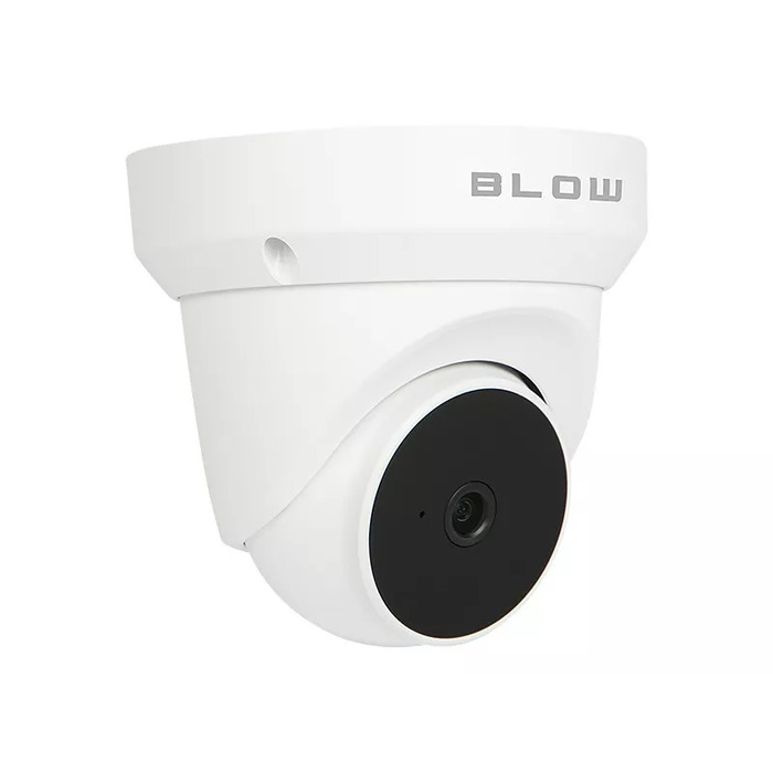 IP Cameras